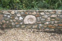 Local fossil from Charmouth incorporated into the stone wall. Local fossil from Charmouth incorporated into the stone wall.